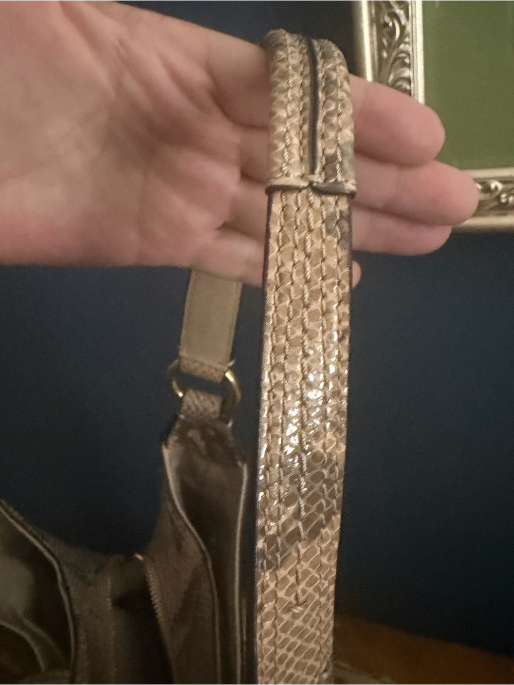 Coach Python Embossed Hobo Bag - Picture 9 of 11